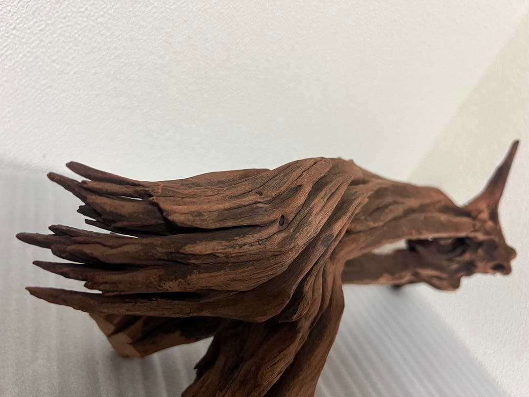 HX-081 流木　ホーンウッド　マシンガンウッド　アクアリウム　ブランチウッド