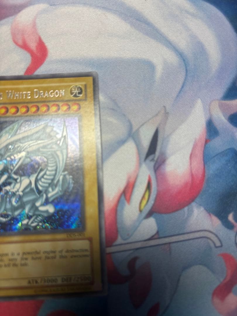 遊戯王 青眼の白龍　R