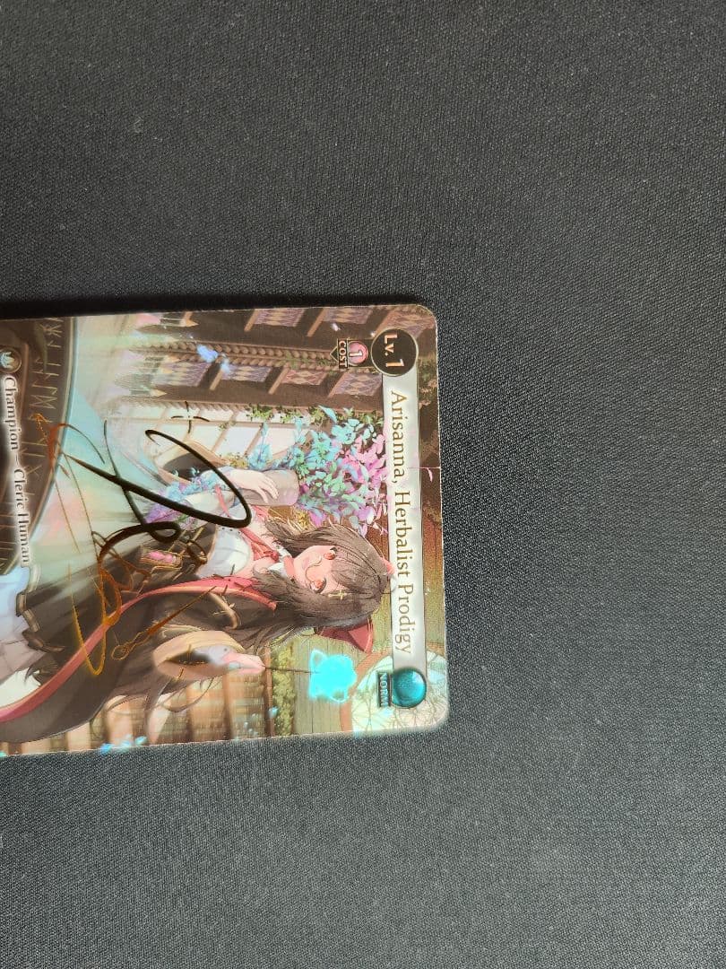 ★ レインさん専用出品 ★　Arisanna + Jin CSR