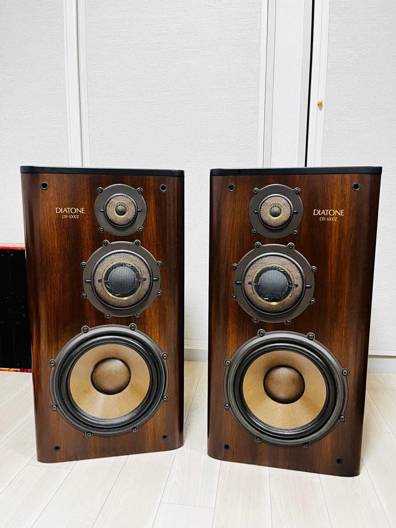 DIATONE DS-1000Z (godou様の専用品です。)