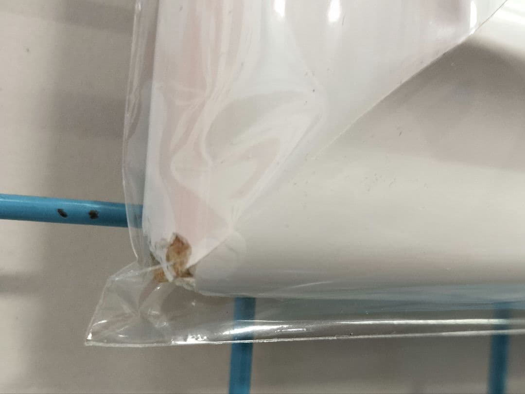 レ*。様 三嶋くろね 直筆サイン入り　版画　Training of a Secr