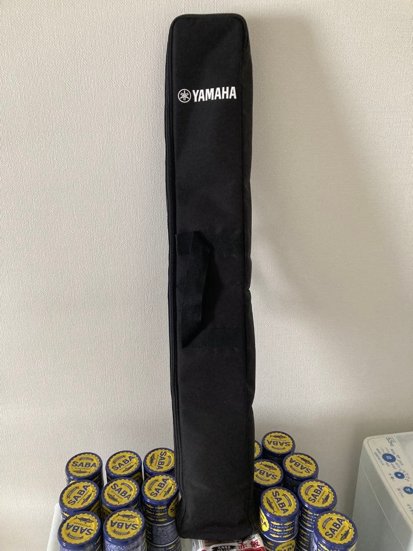 T*a様 ケース付き　美品　ボーカロイド Keyboard VKB-100 動作