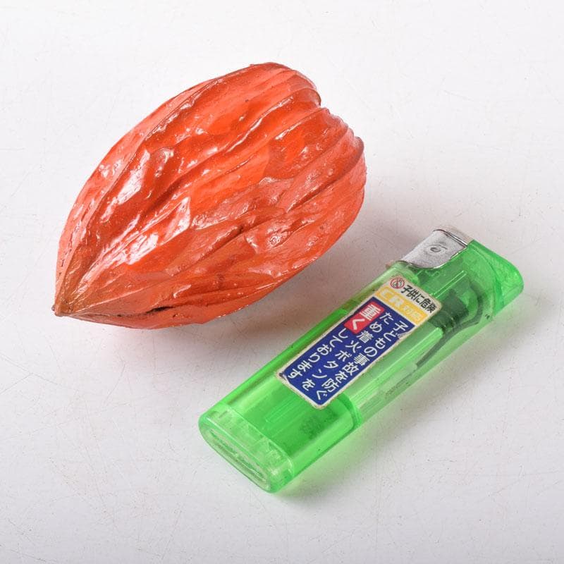 茶道具　乾漆　鬼灯　ほうづき　香合　C　7510