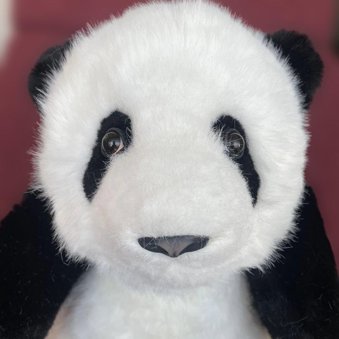 パンダぬいぐるみ　リアル可愛い