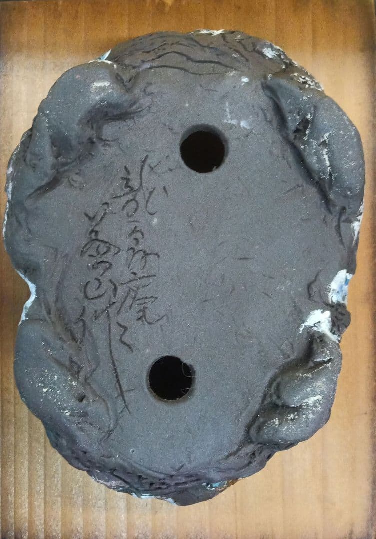 003.【浅井茶山作】龍翁陶器/変型鉢/盆栽鉢/木箱付き