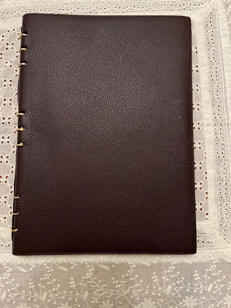 希少 LOUIS VUITTON ルイヴィトン タイガ ヴァンドレディ ノート