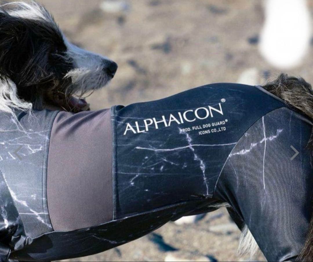 大人気 ALPHAICON FULL DOG GUARD 2023年モデル
