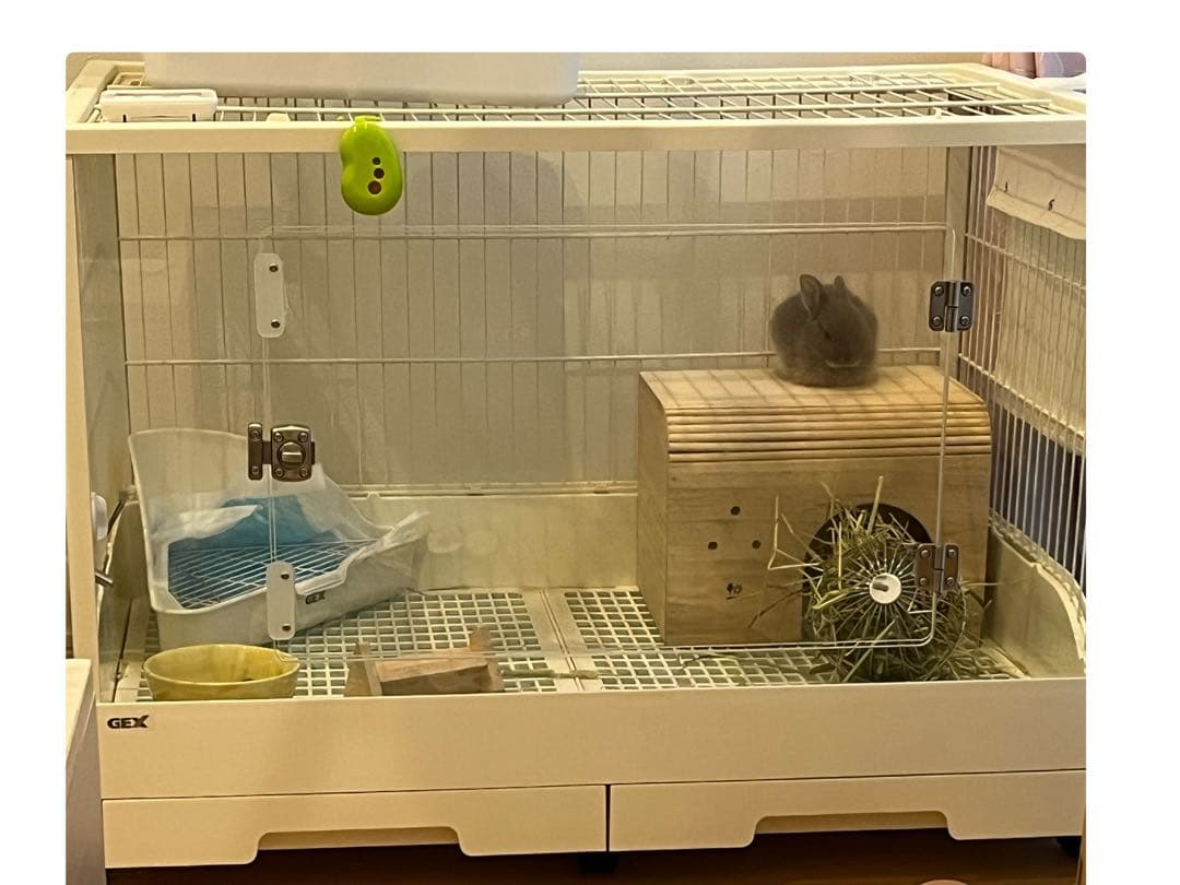 GEX 大型透明ケージのみホワイト