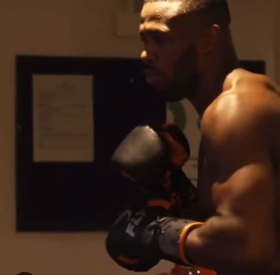 ＦＬＹボクシングヘッドギア　新品未使用