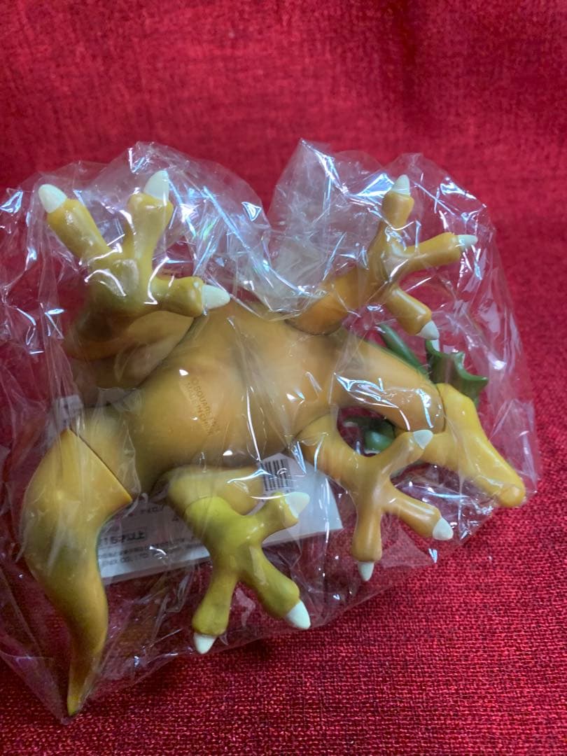 020 セット確認用