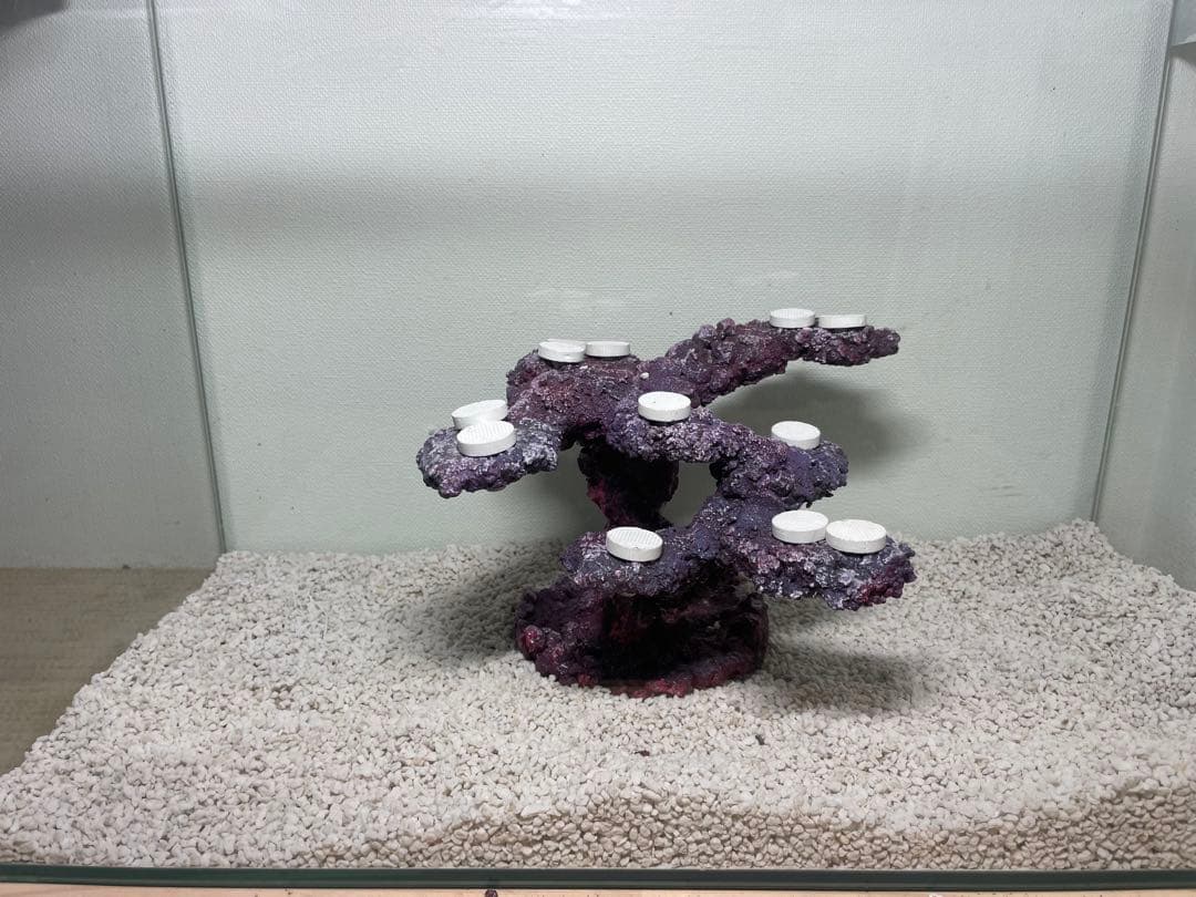 【送料無料】人工ライブロック　PHR23／12穴加工　アク抜き済み安心塗料使用