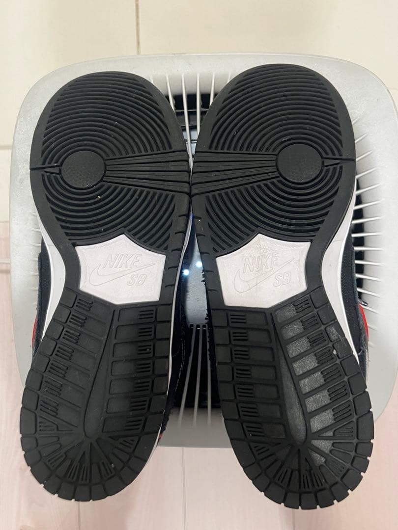 Wasted Youth × Nike SB Dunk Low 26cm