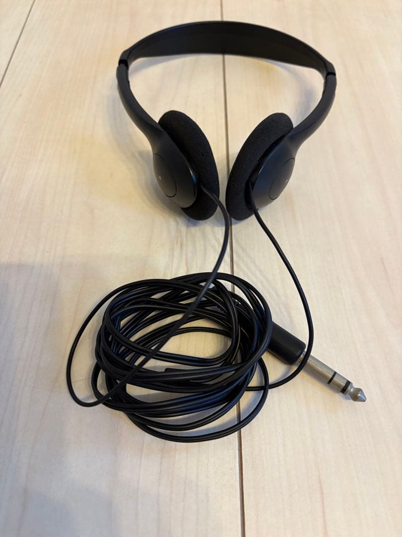 送料込CASIO GP-310WE 2023年製