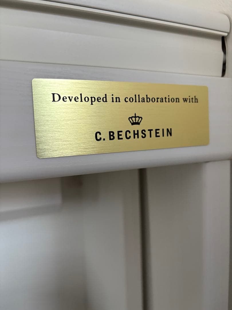 送料込CASIO GP-310WE 2023年製