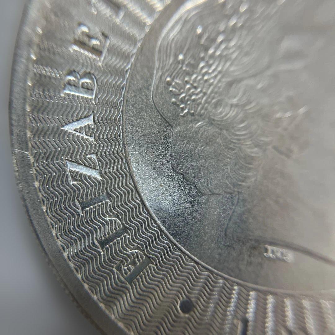 【純銀】オーストラリア　カンガルー 銀貨　1oz ケース付き　⑥