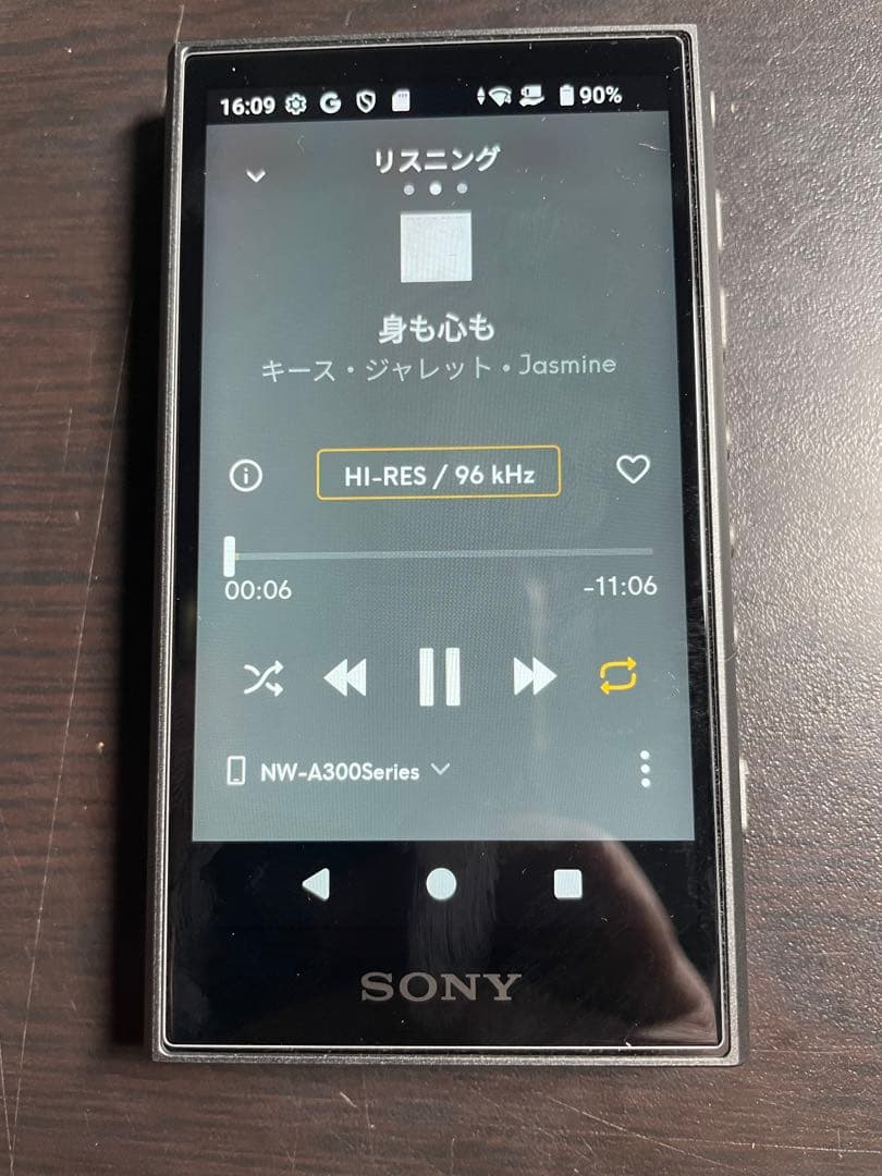 SONY NW-A307 64GB H(グレー) ソフトケース、SDカード付き