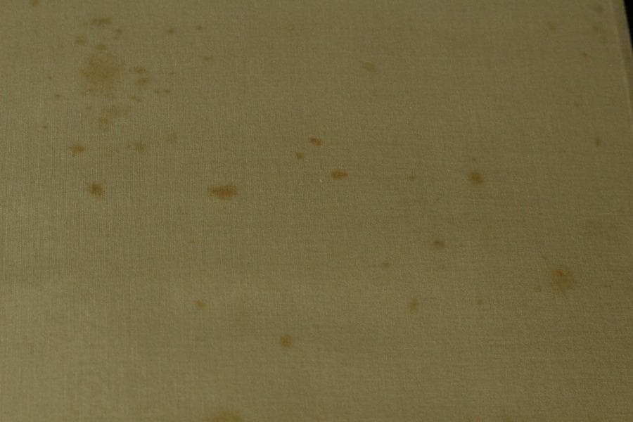 大田垣蓮月 筆 春月乃 和歌 軸(K-YC543)