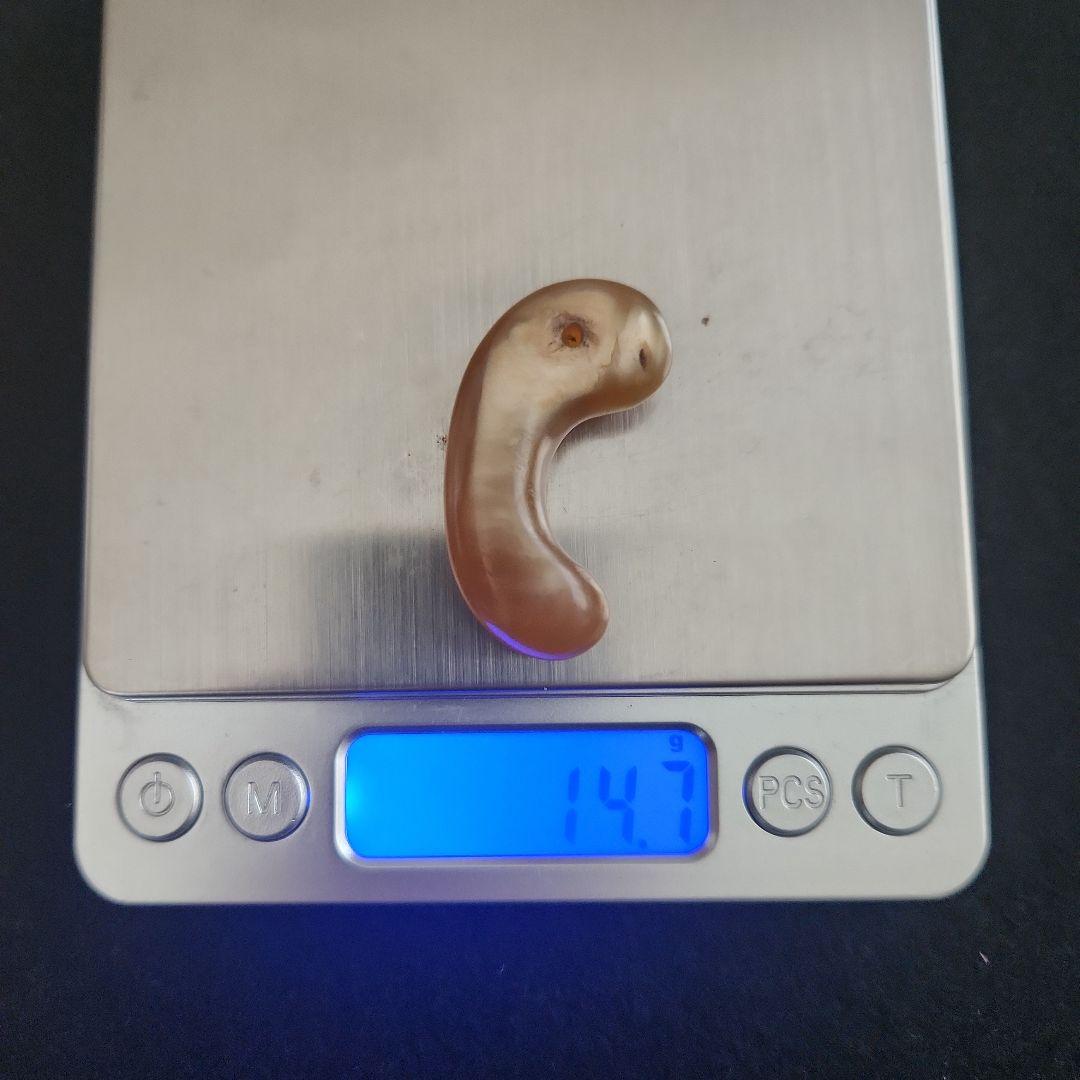 勾玉‥古墳時代‥発掘品