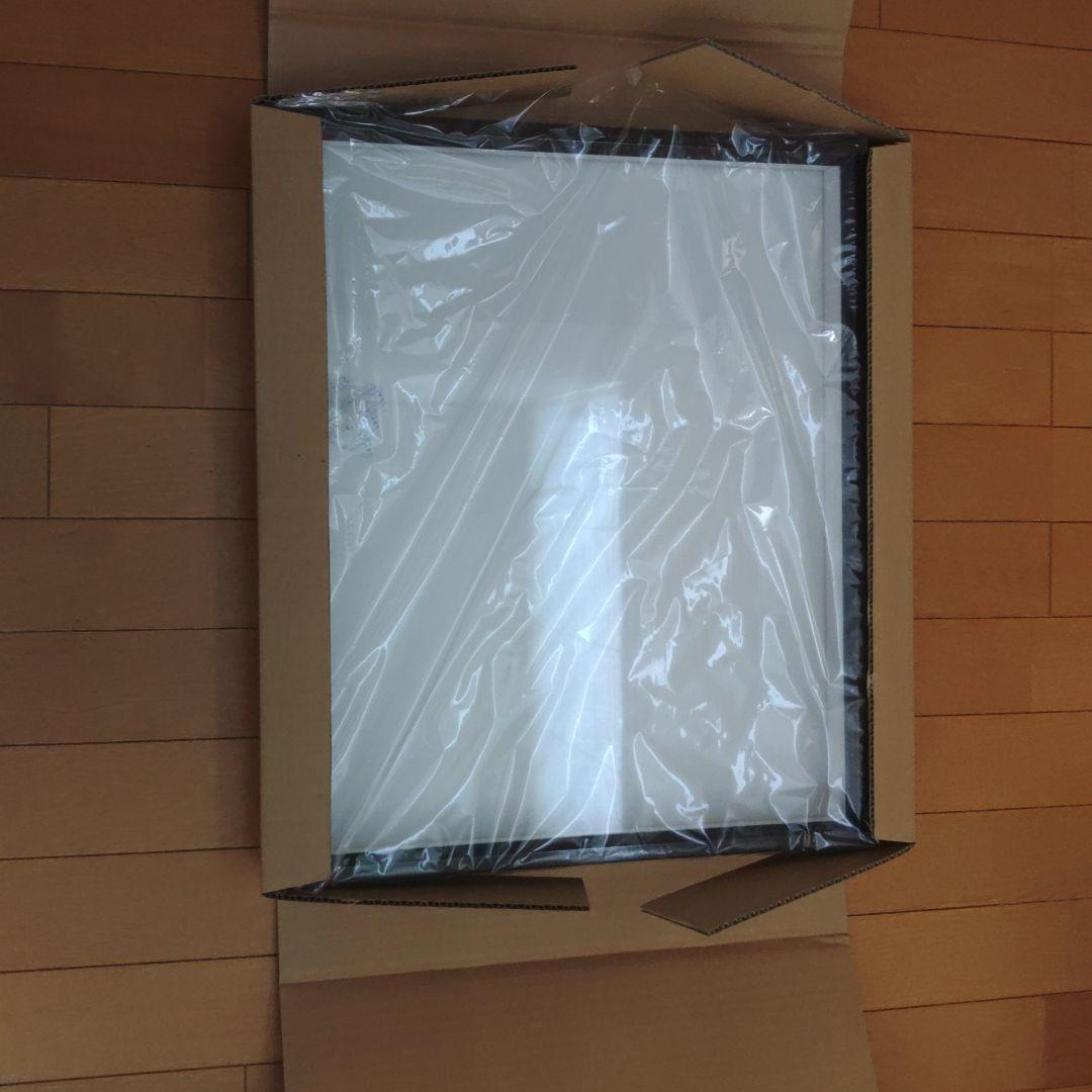 志賀昆虫大型ドイツ箱2箱セット