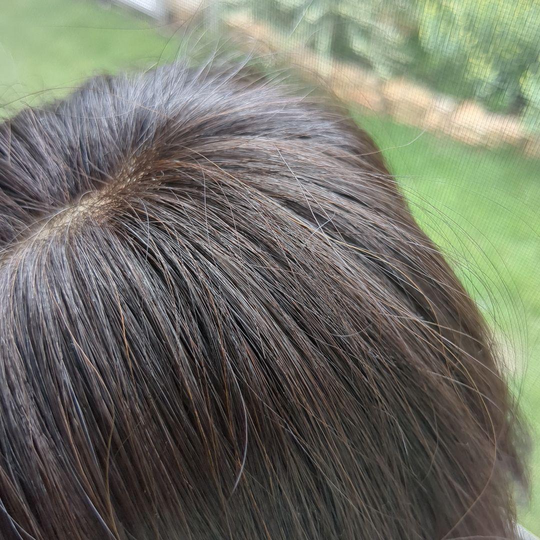 ウィッグ　ショート　ブラック　黒　リネアストリア