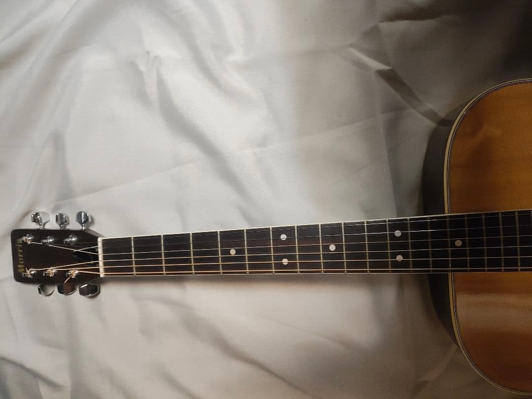 Morris アコースティックギターW25