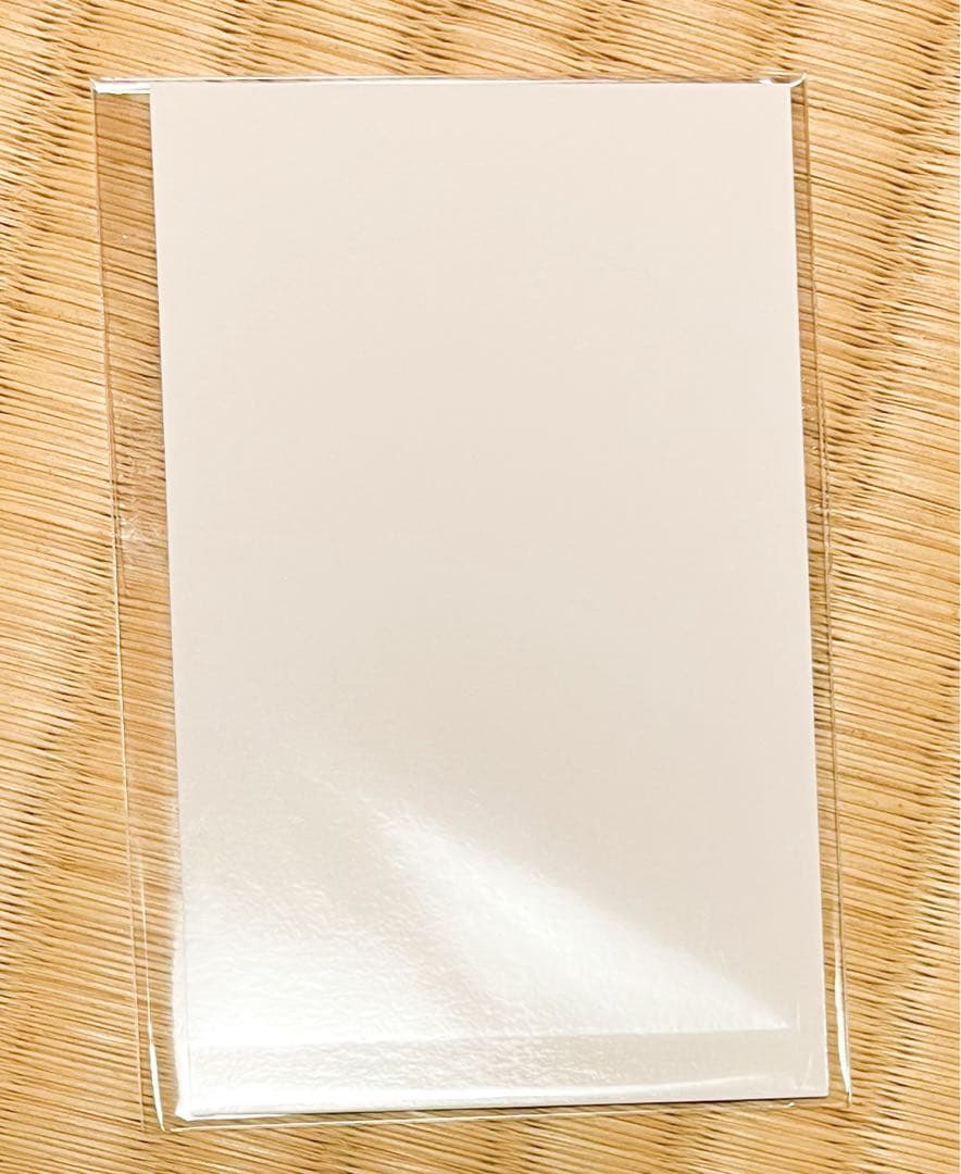 Dr.STONE DVD 4th SEASON 特典　スタンリー　ミニフォト