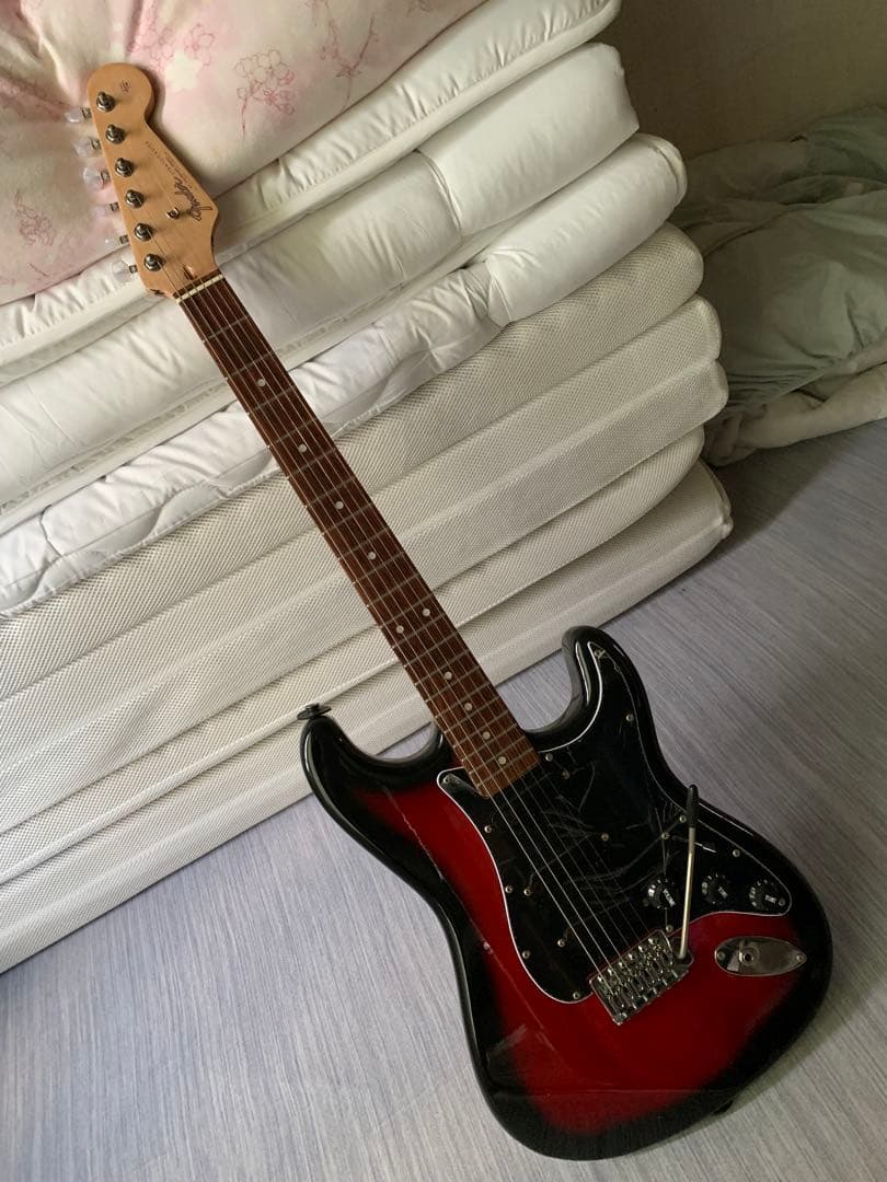 コンポーネント　ノンフロイド　ルカサー　ストラト