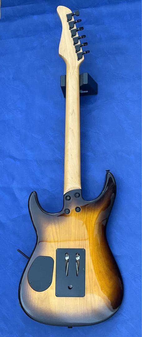 【玄人向け】Fernandes FR ブラウンバースト【特殊トレモロ】