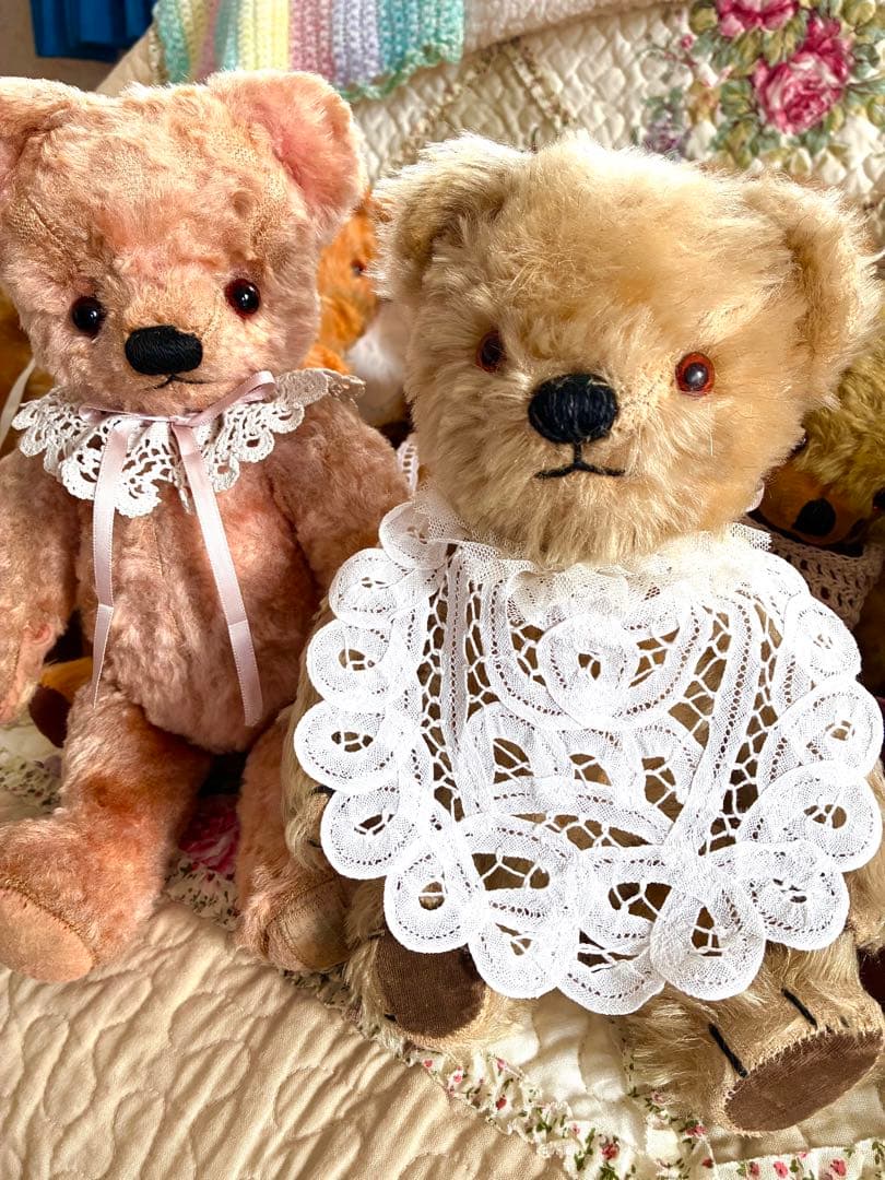 チャドバレー アンティークベア 人懐っこいお顔の可愛い子