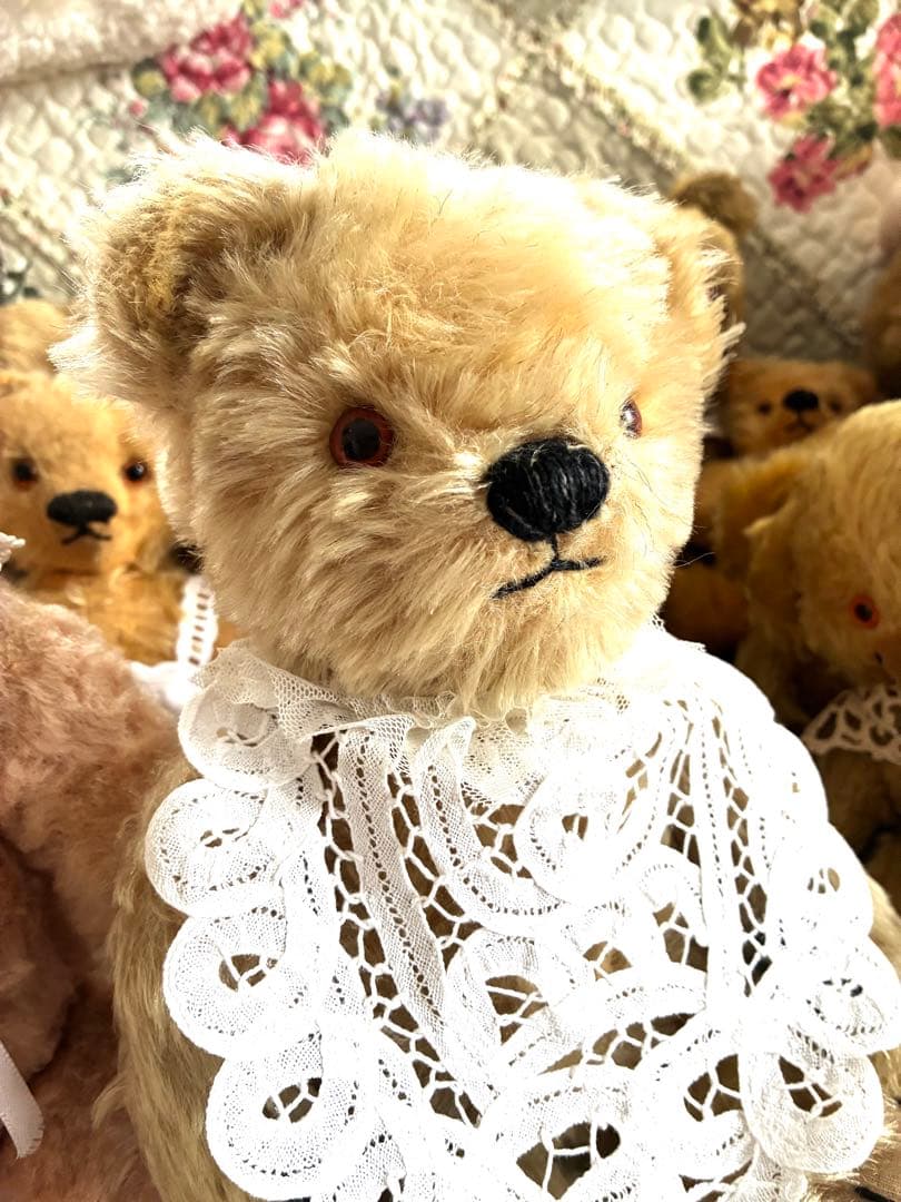 チャドバレー アンティークベア 人懐っこいお顔の可愛い子