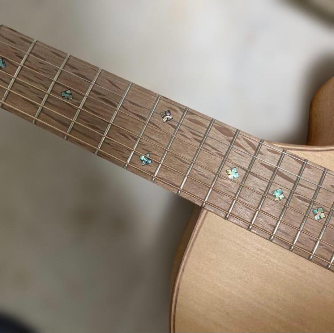 Cole Clark FL2EC・BSO 中古美品