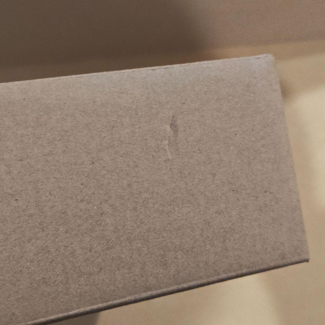 L BUILD ガンダムアストレア TYPE-X フィンスターニス　新品