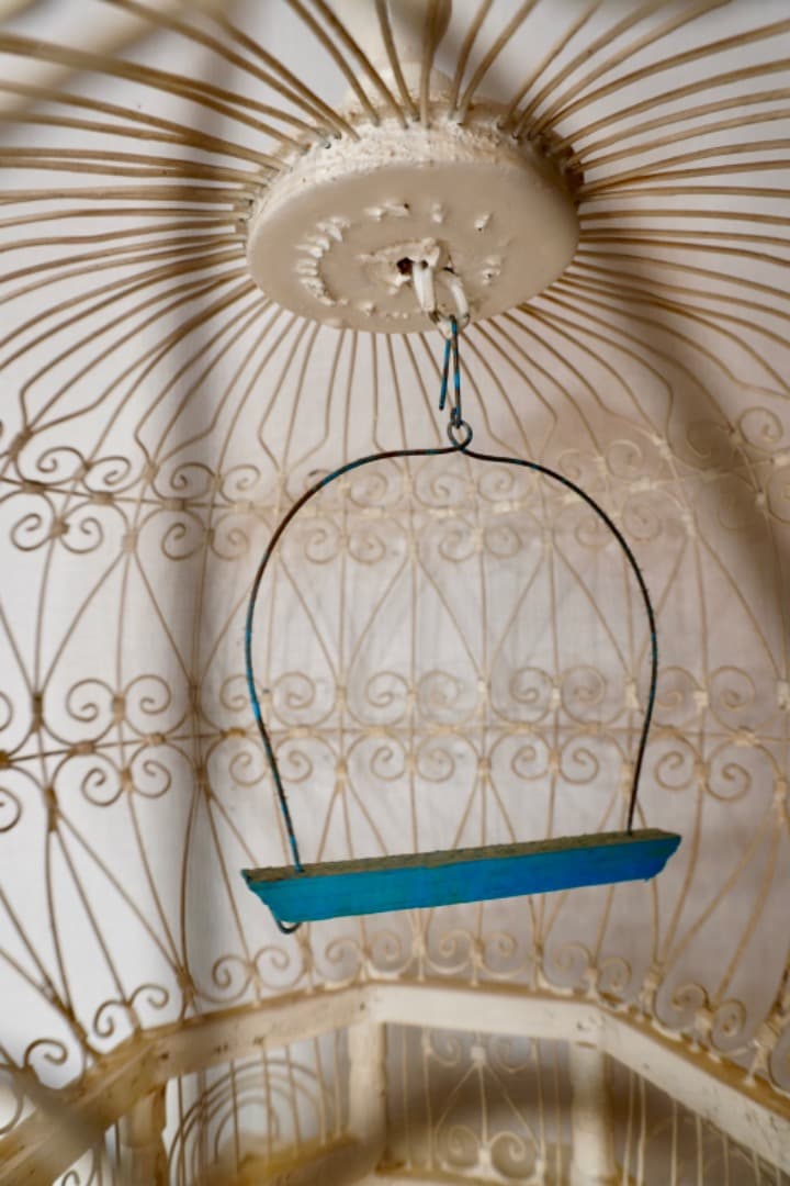 フランス アンティーク 鳥かご バードケージ