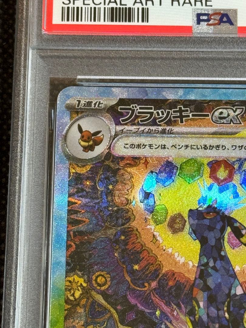 ブラッキーex sar psa10 テラスタルフェスex