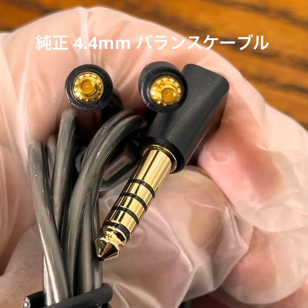 Sennheiser IE900 ゼンハイザー【付属品完備】
