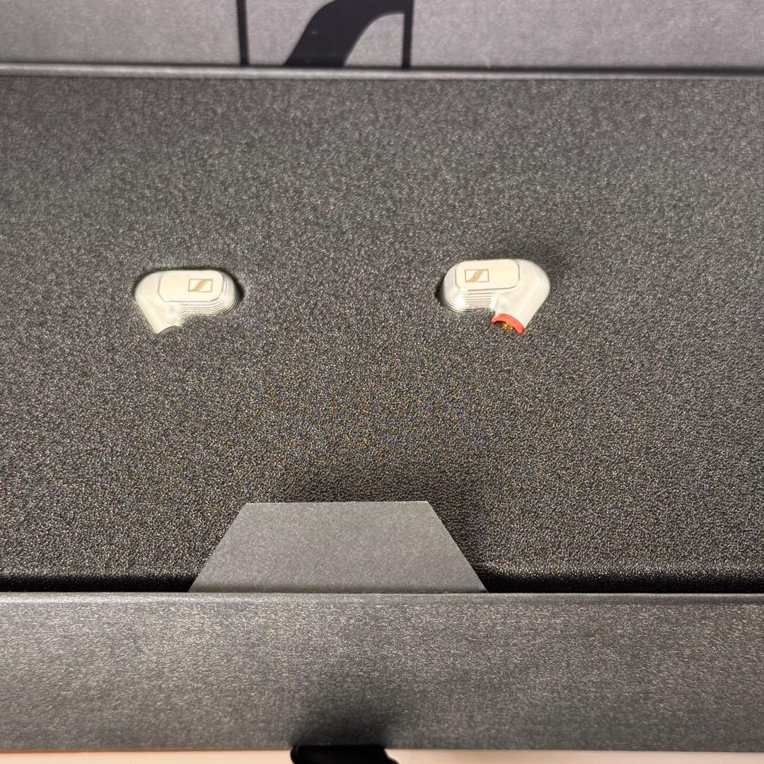 Sennheiser IE900 ゼンハイザー【付属品完備】