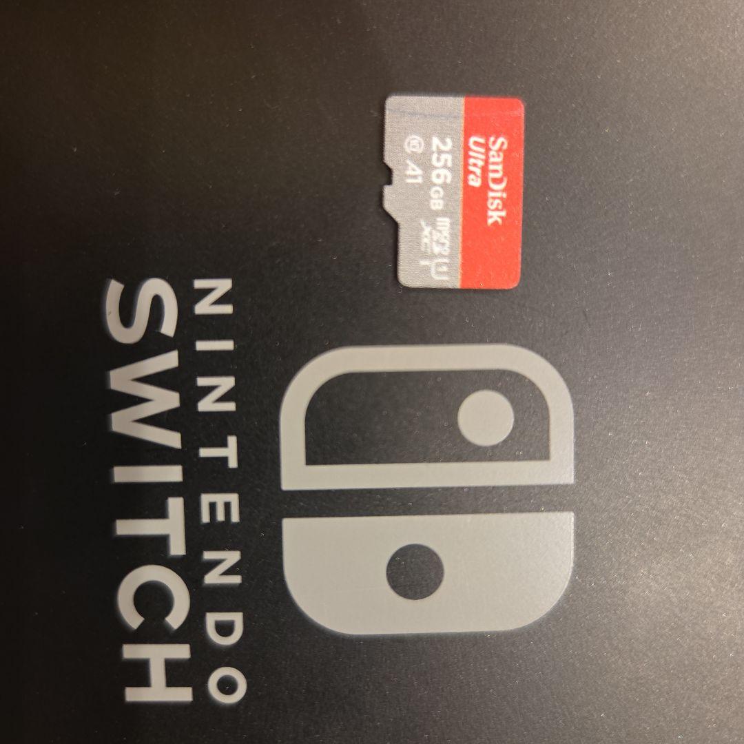 【たつまさん専用】Nintendo Switch 本体 256GB SDカード付