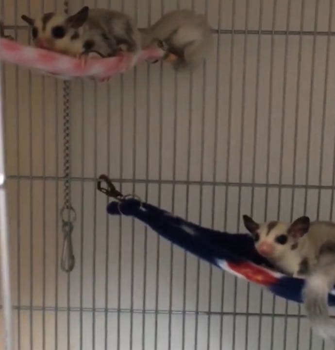 三角コーナーハンモック(SMILEY  FACE)  夏仕様  2枚組