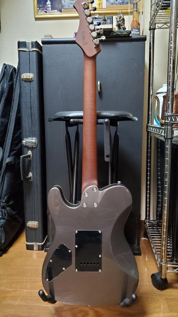 Bacchus TACTICS24-STD/RSM Gun-M ほぼ新品