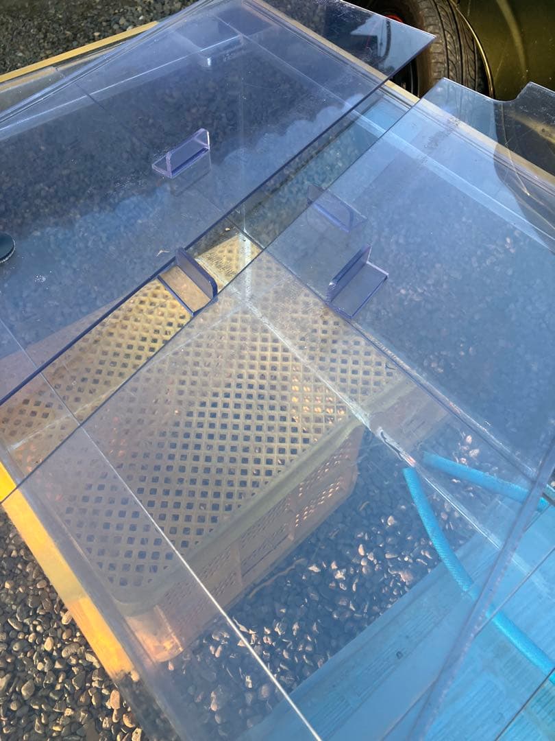 1200オーバーフロー水槽セット引き取り限定