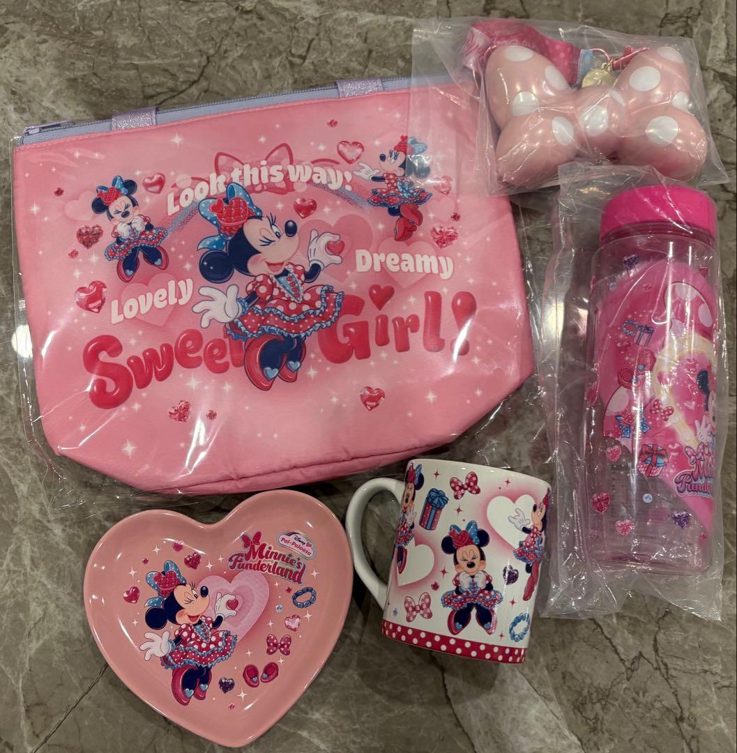 ディズニー パルパルーザ ファンダーランド ミニー スーベニア ５点セット