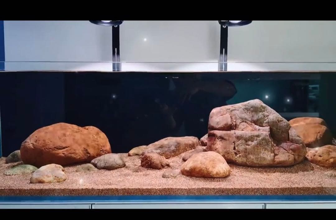 20kg業者様愛され高品質ろ材 納豆菌多孔質パワーボール20kg即時発送送料込み