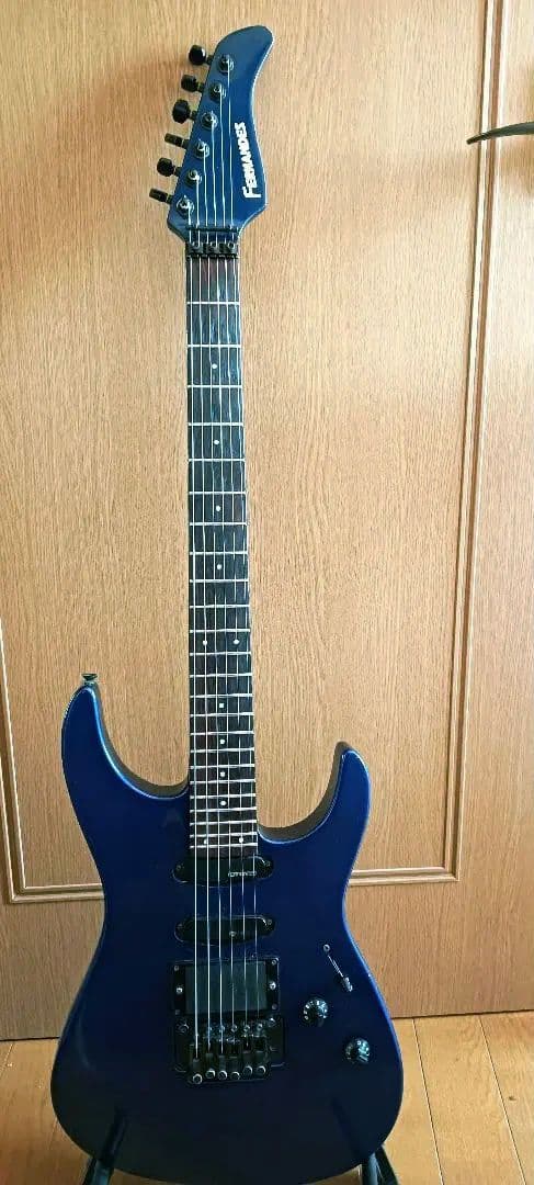 フェルナンデス fr55