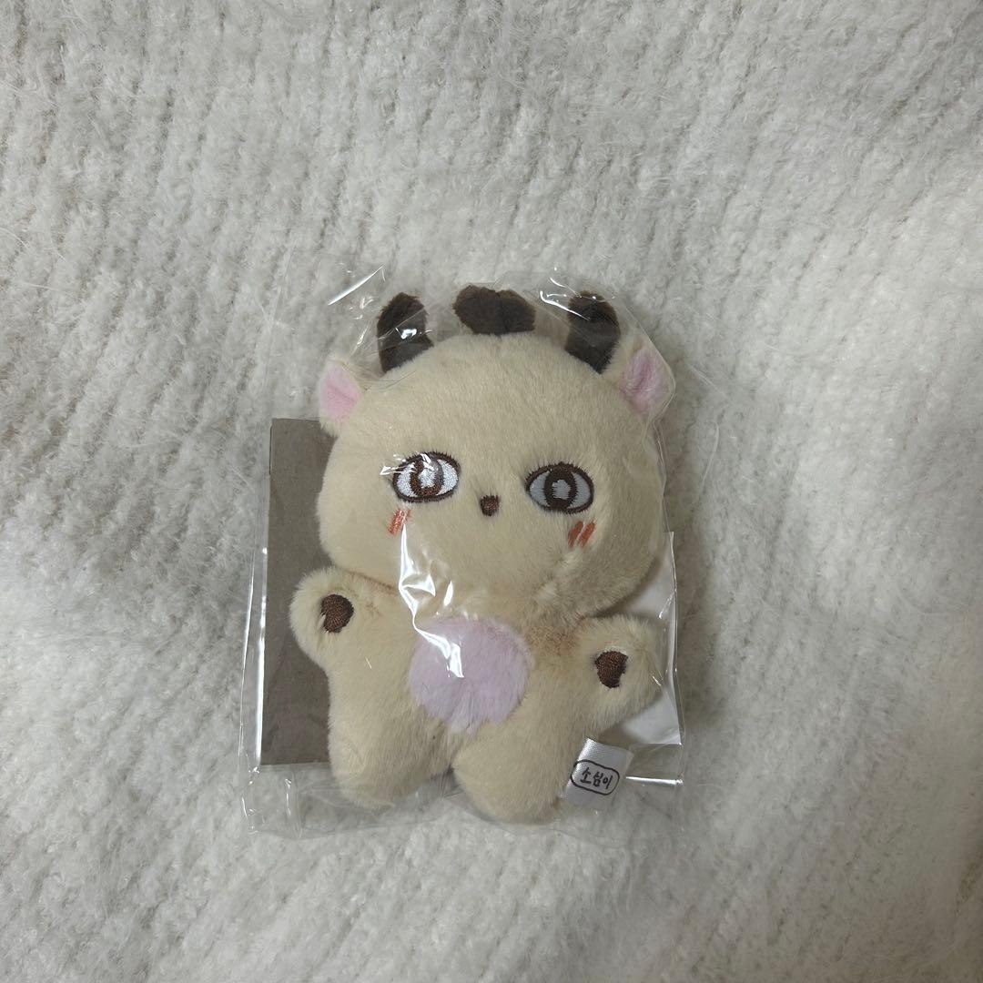 パクジフン センイル MD ぬいぐるみ ソシミ