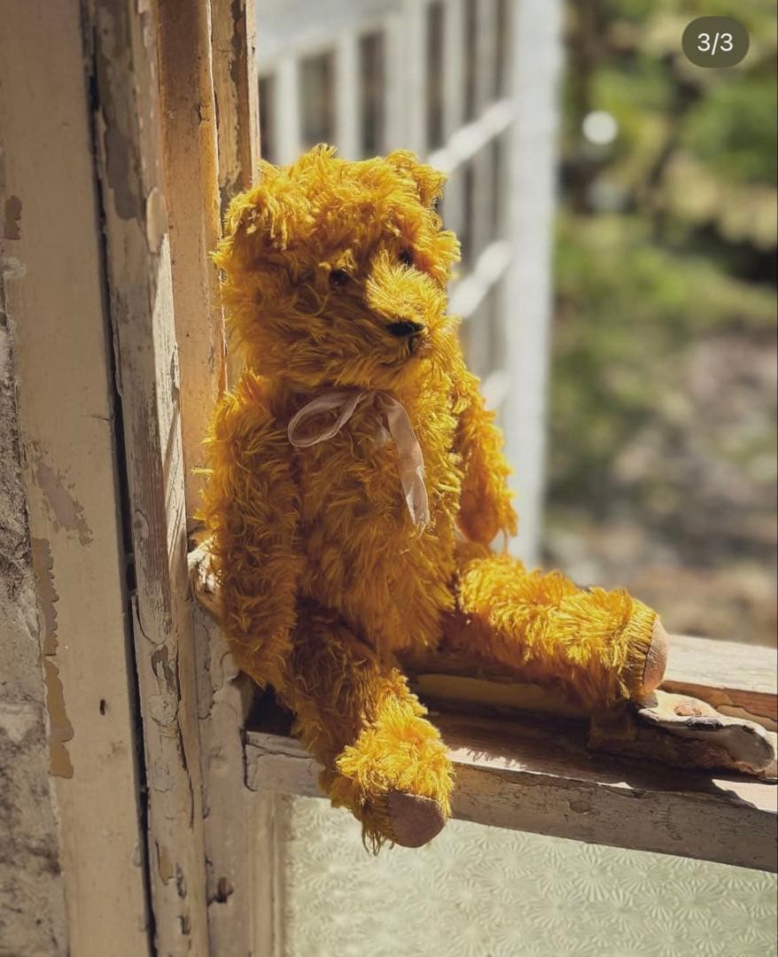 フランスアンティーク とっても優しいお顔の綺麗なゴールドベア