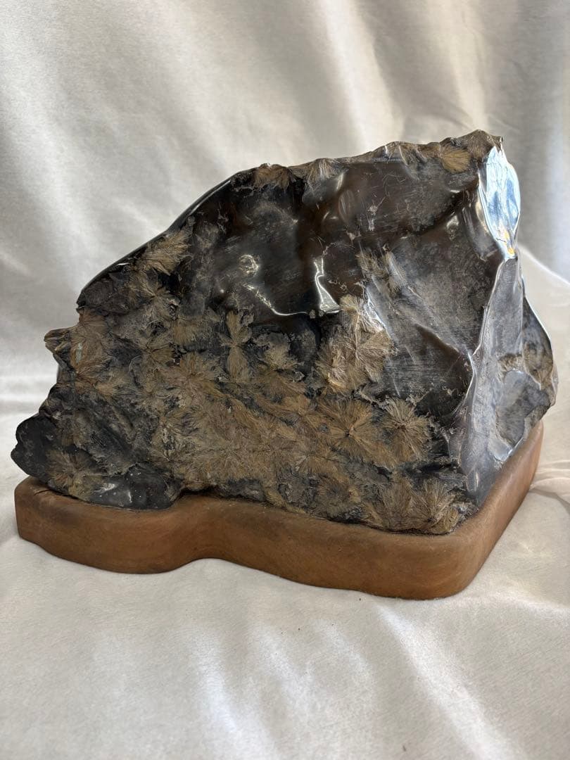 黄金菊花石　岩手県　陸中川井産　天然石