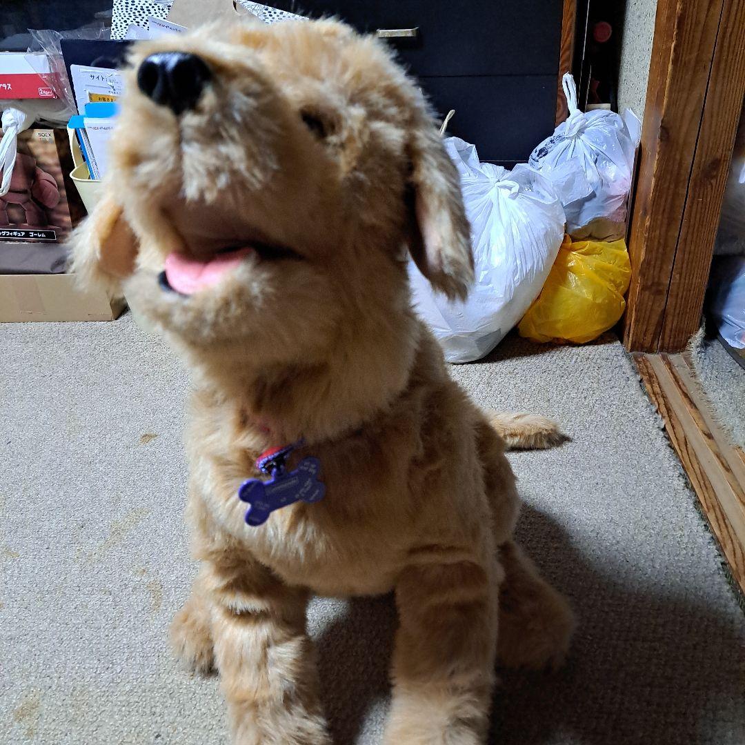 夢いぬDX　ゴールデンレトリバー　希少　BIG　癒し