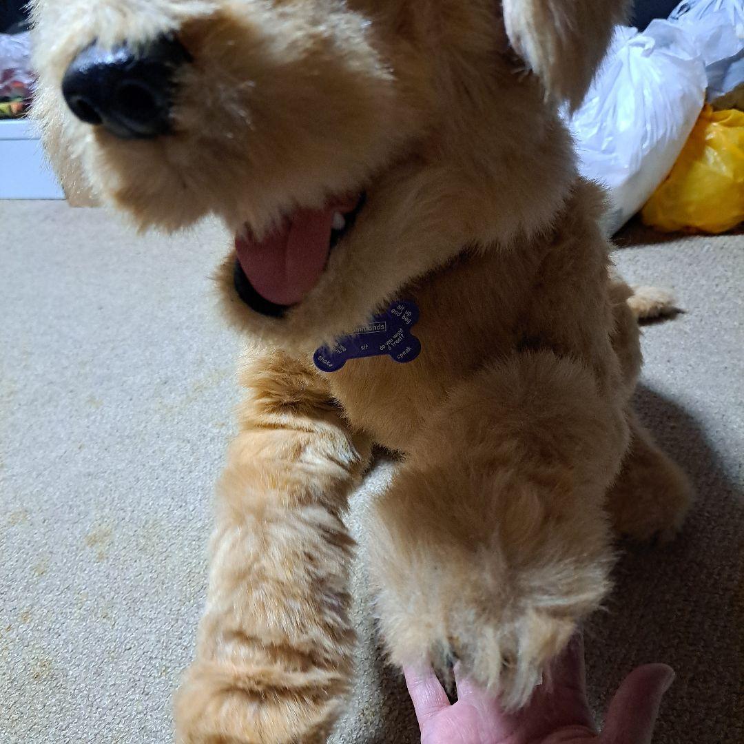 夢いぬDX　ゴールデンレトリバー　希少　BIG　癒し