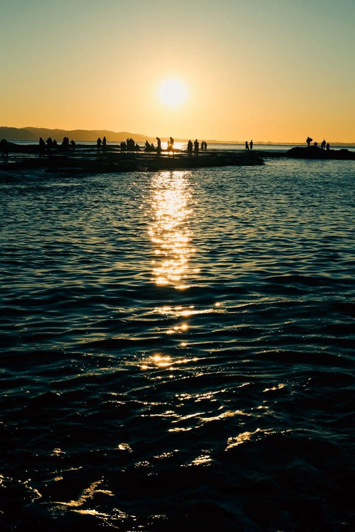 デジタルカメラ Canon EOS 5D & Carl Zeiss Planar 50mm