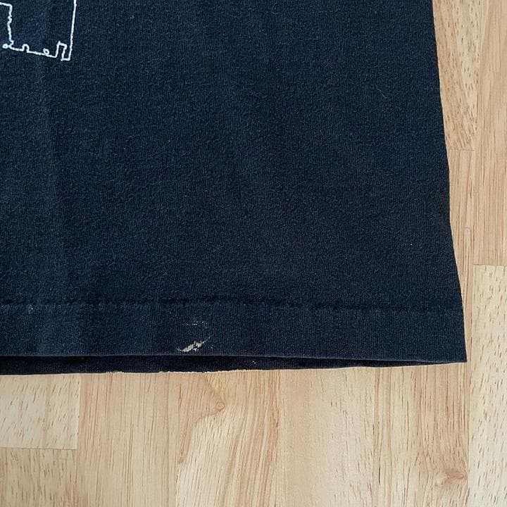 PANTERA Tシャツ 93 L VULGAR Hanes Winter